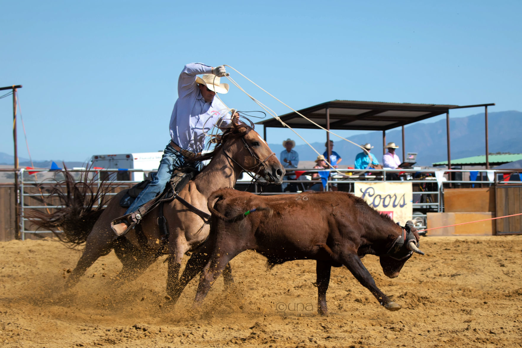 SYVWineCountryRodeo2019